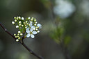 BUITEN BEELD Foto: 371671