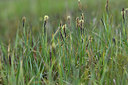BUITEN BEELD Foto: 371672