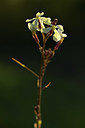 BUITEN BEELD Foto: 371689