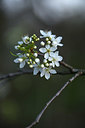 BUITEN BEELD Foto: 371728