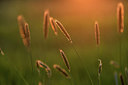 BUITEN BEELD Foto: 371730