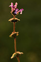 BUITEN BEELD Foto: 371749