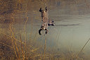 BUITEN BEELD Foto: 372150