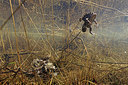BUITEN BEELD Foto: 372181