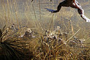 BUITEN BEELD Foto: 372201
