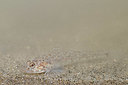 BUITEN BEELD Foto: 372215