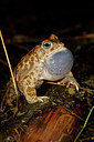 BUITEN BEELD Foto: 372220