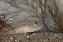BUITEN BEELD Foto: 372272