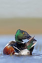 BUITEN BEELD Foto: 372411