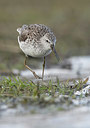 BUITEN BEELD Foto: 372577
