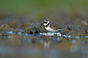 BUITEN BEELD Foto: 372624