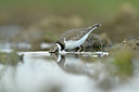 BUITEN BEELD Foto: 372643
