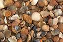 BUITEN BEELD Foto: 373394