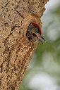 BUITEN BEELD Foto: 373466