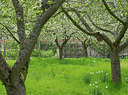 BUITEN BEELD Foto: 373497