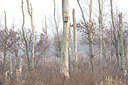 BUITEN BEELD Foto: 373827