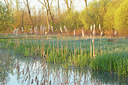 BUITEN BEELD Foto: 373858