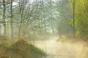 BUITEN BEELD Foto: 373861