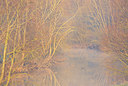 BUITEN BEELD Foto: 373881