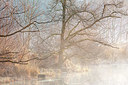 BUITEN BEELD Foto: 374025