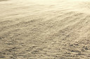 BUITEN BEELD Foto: 374039