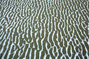 BUITEN BEELD Foto: 374052