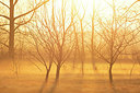 BUITEN BEELD Foto: 374076