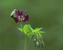 BUITEN BEELD Foto: 374430
