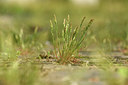 BUITEN BEELD Foto: 374943