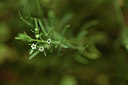 BUITEN BEELD Foto: 374951