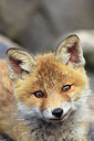 BUITEN BEELD Foto: 374964