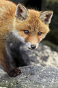 BUITEN BEELD Foto: 374973