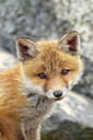 BUITEN BEELD Foto: 374974