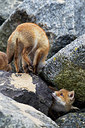 BUITEN BEELD Foto: 374992