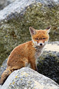 BUITEN BEELD Foto: 374993