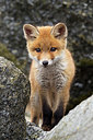 BUITEN BEELD Foto: 374994