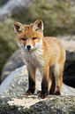 BUITEN BEELD Foto: 375001