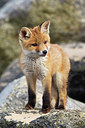 BUITEN BEELD Foto: 375002