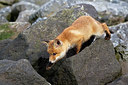 BUITEN BEELD Foto: 375003