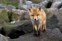 BUITEN BEELD Foto: 375004