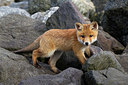 BUITEN BEELD Foto: 375005