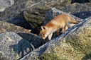 BUITEN BEELD Foto: 375012