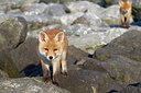 BUITEN BEELD Foto: 375015