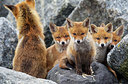 BUITEN BEELD Foto: 375016