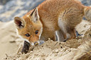 BUITEN BEELD Foto: 375022