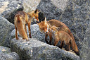 BUITEN BEELD Foto: 375024