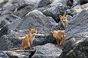 BUITEN BEELD Foto: 375037
