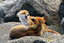 BUITEN BEELD Foto: 375086