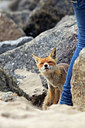 BUITEN BEELD Foto: 375099