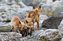 BUITEN BEELD Foto: 375111